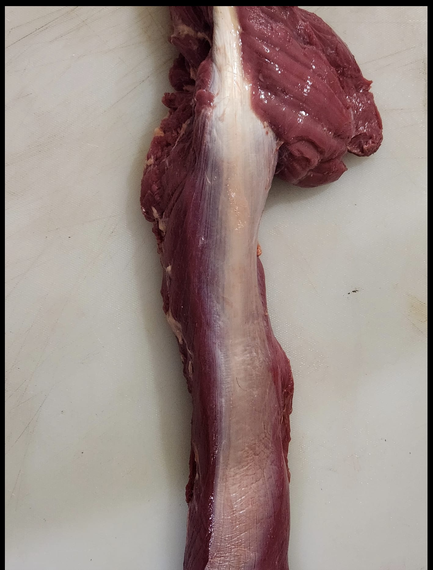 Beef Fillet — image 1