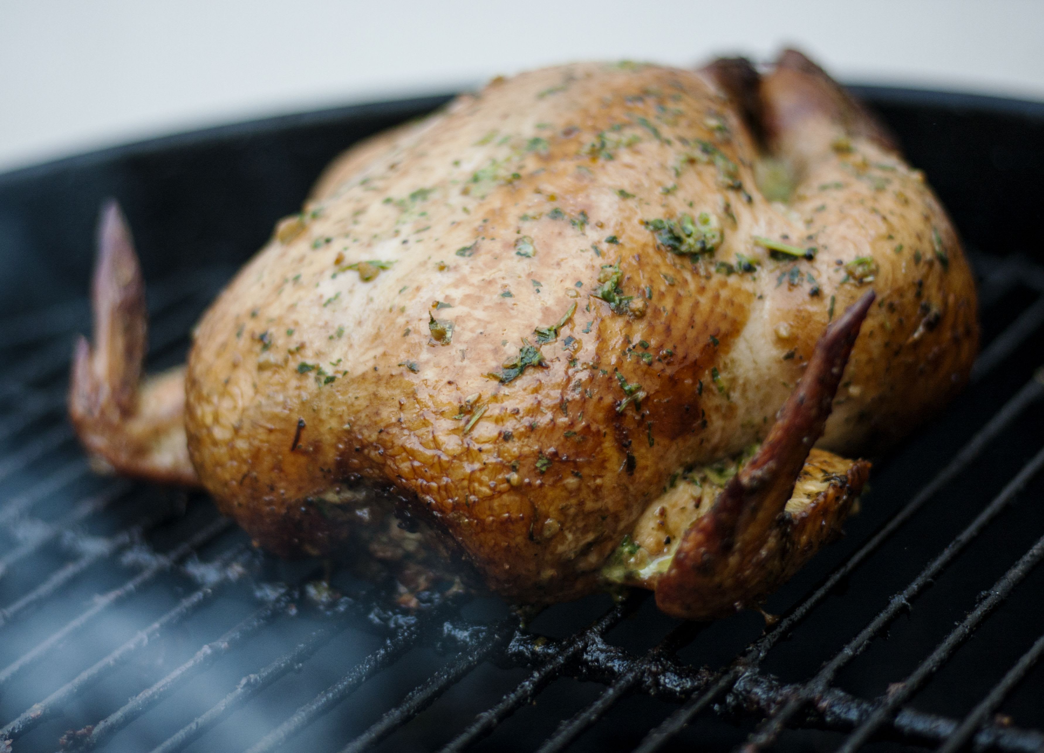 Guinea Fowl (Grilled)