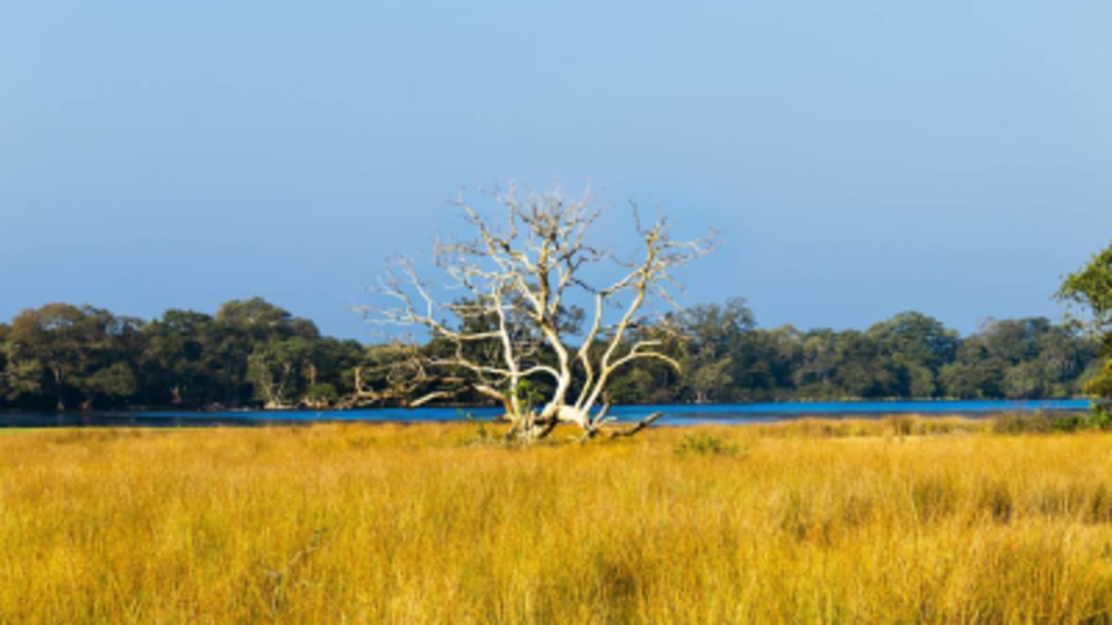 national-park-sri-lanka