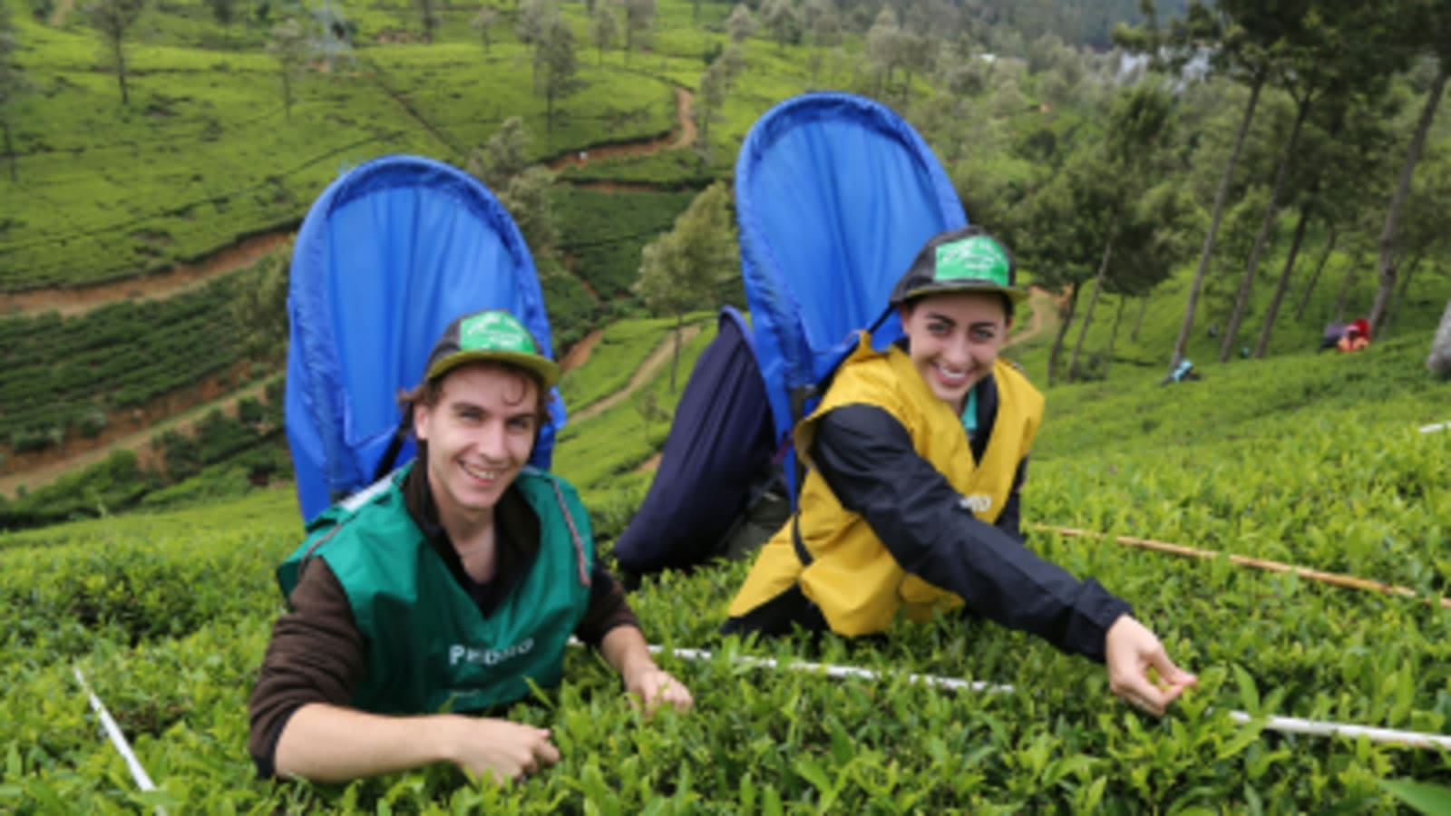 sri-lanka-hill-country-tea-trails-cover