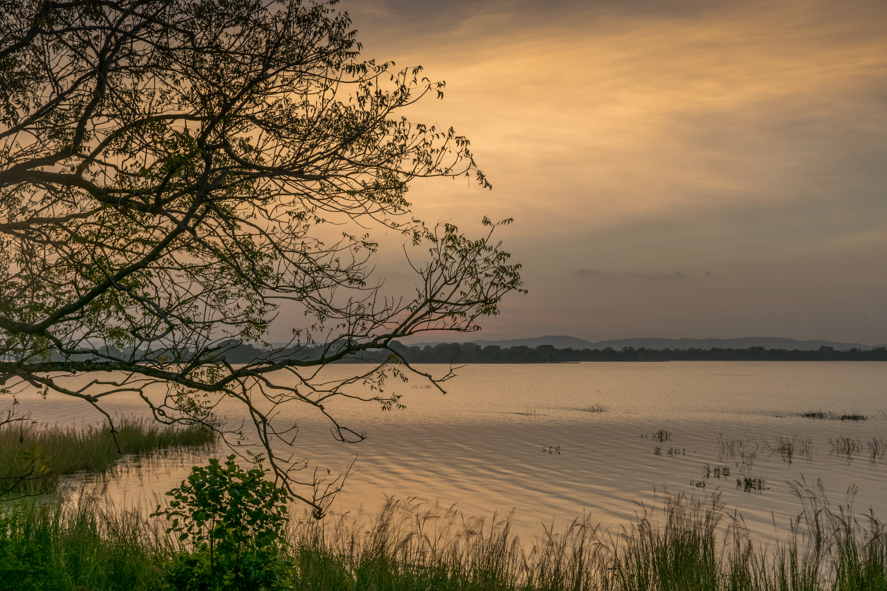 Polonnaruwa lake at sunset