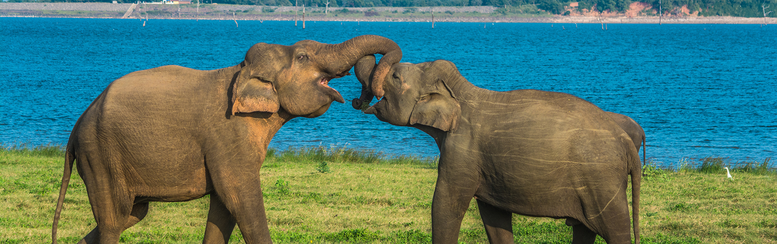 Sri Lanka Destinations