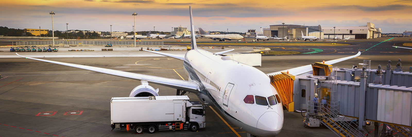 Pre-Departure Information - Sri Lanka Travel