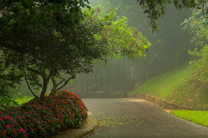 Sri Lanka weather and seasonal climate
