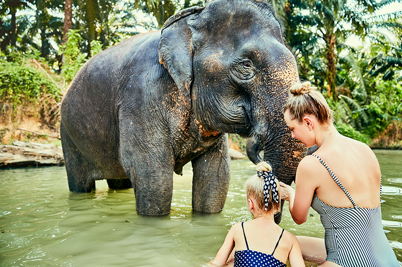 Sri Lankan cultural heritage and authentic experiences