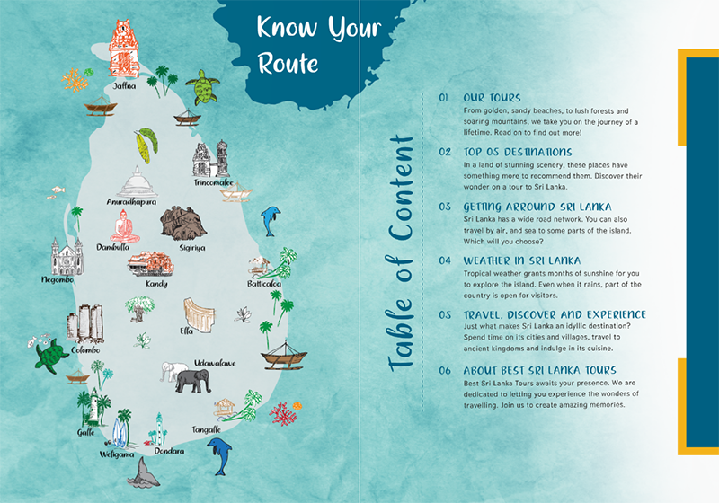 Recent newsletter edition preview
