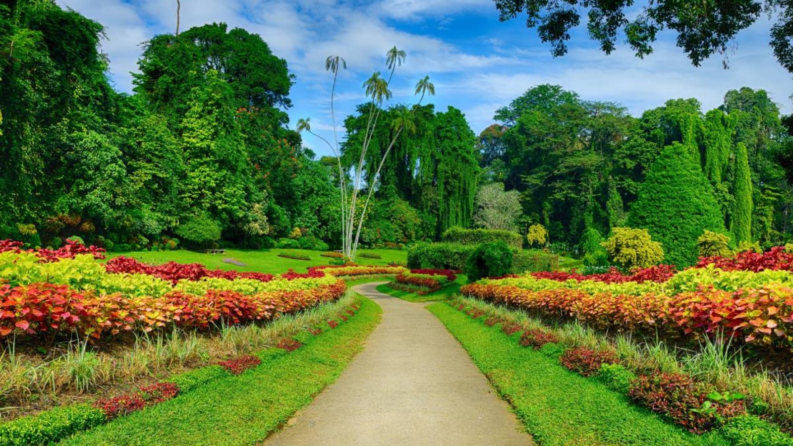 Peradeniya Garden