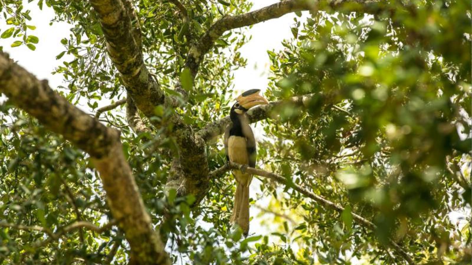 Safari in Udawalawe