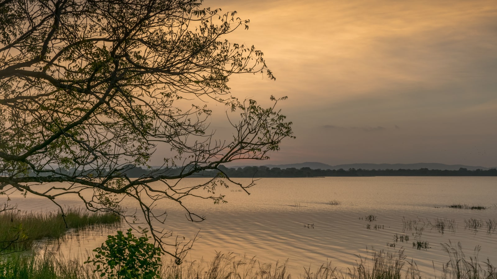 Polonnaruwa lake at sunset