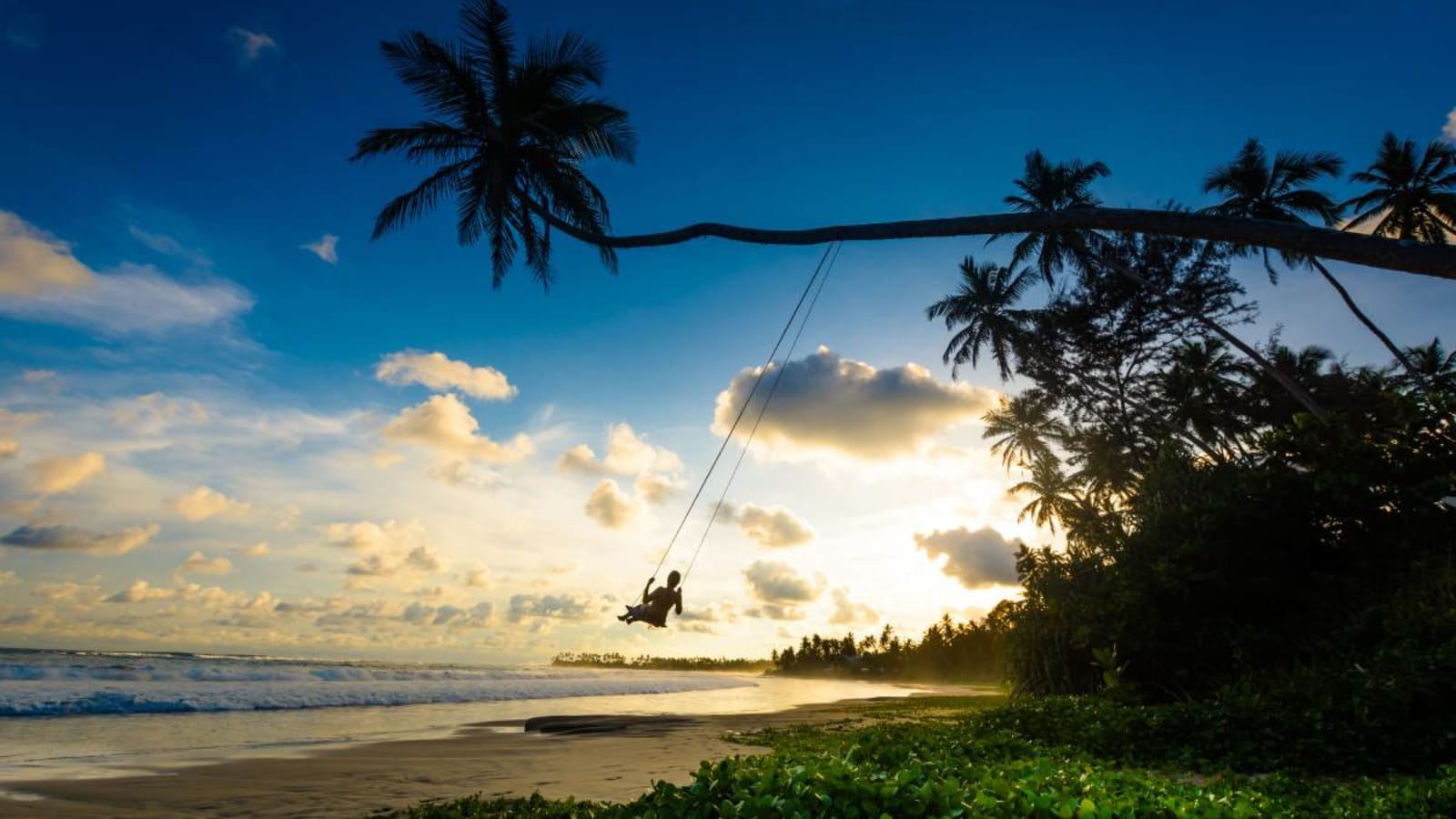 Person swinging on the Dalawella rope swing