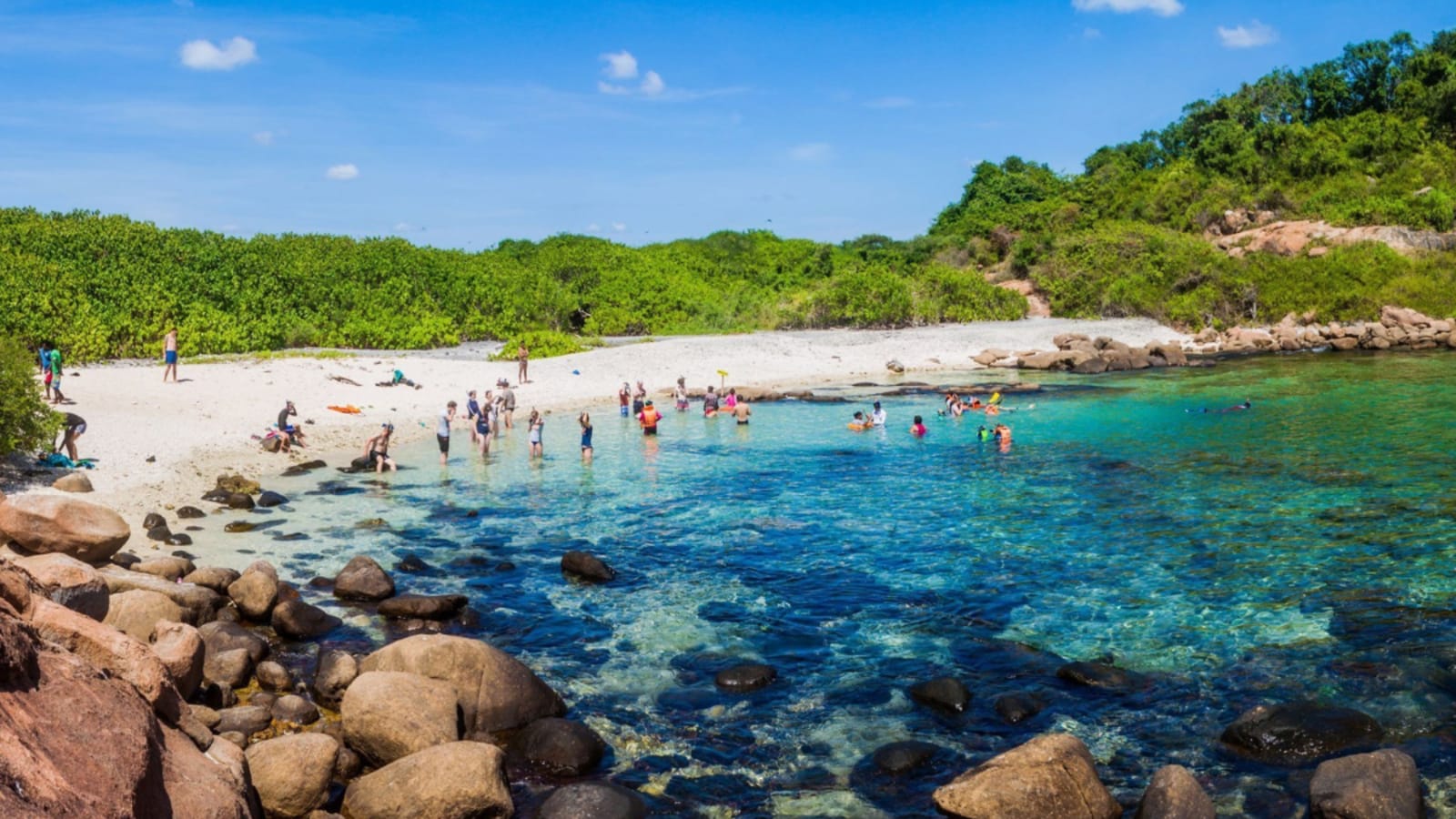 Snorkelers exploring coral reefs