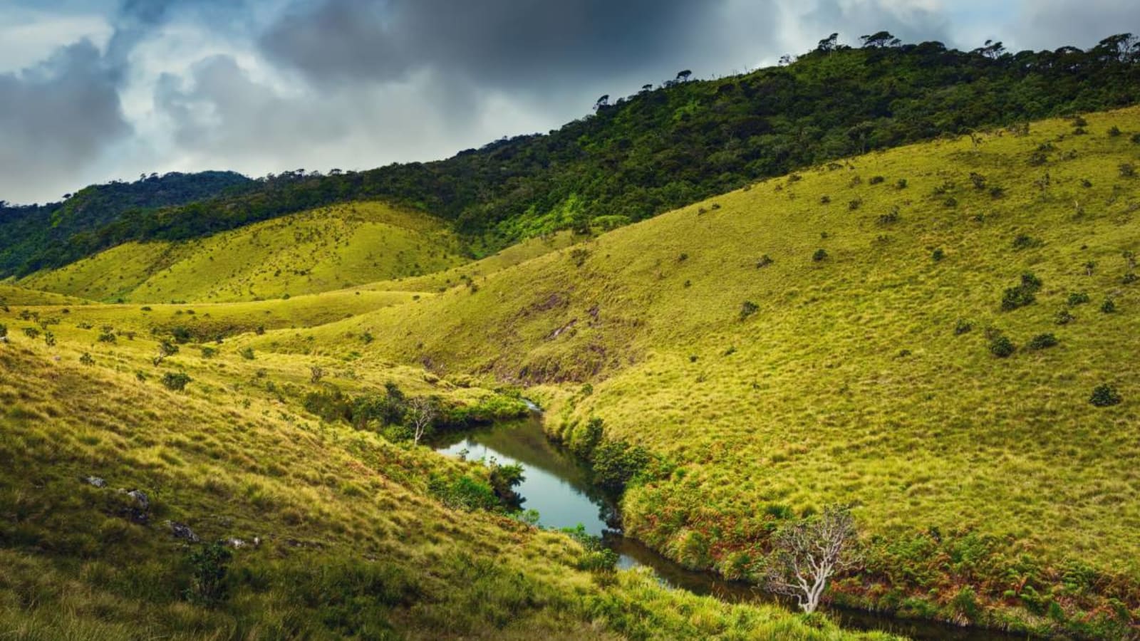 Cliffs and plains at Horton Plains