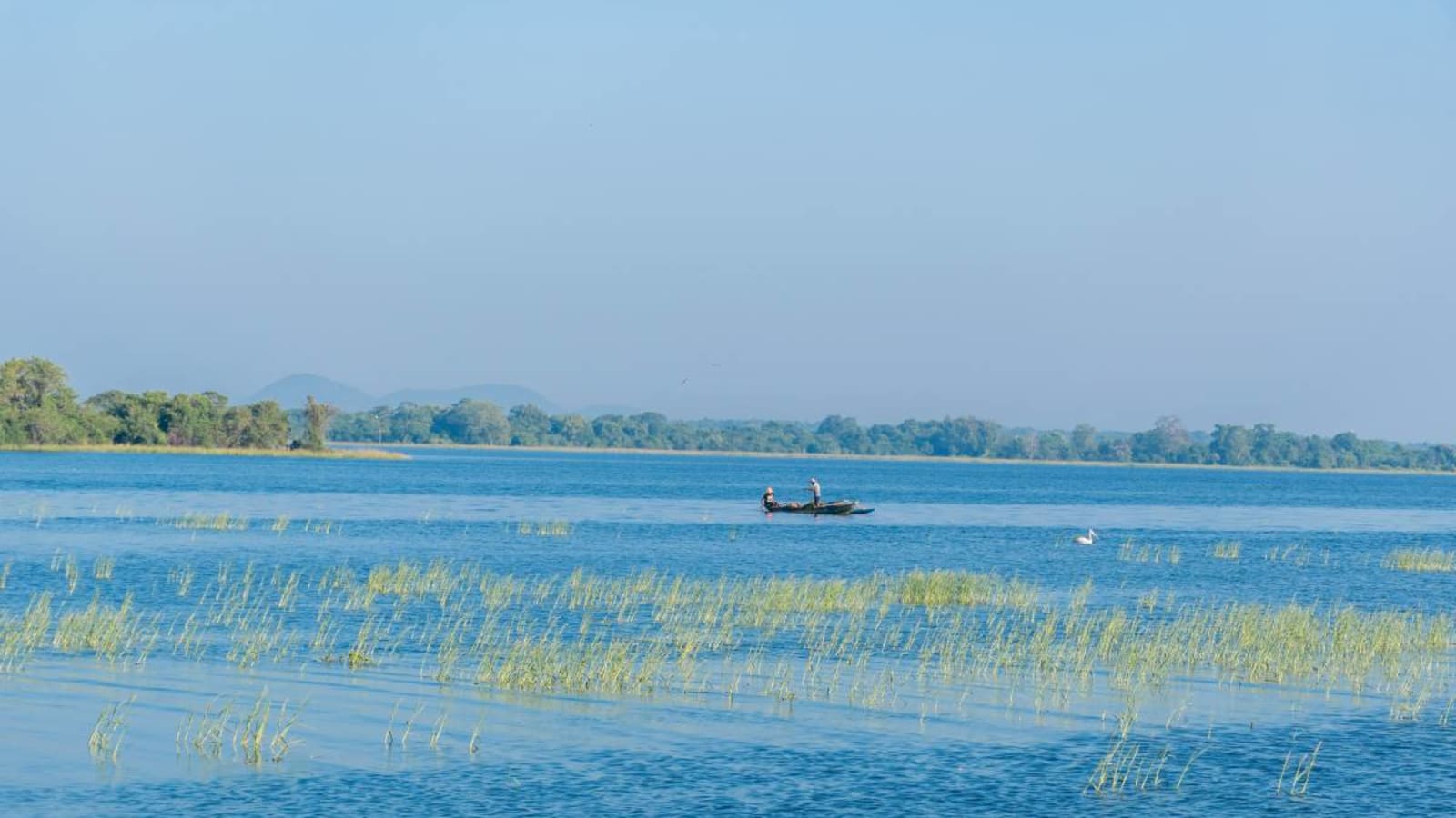 Artificial tank in Polonnaruwa