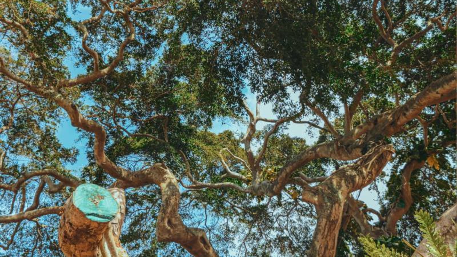 Varied landscapes within Yala