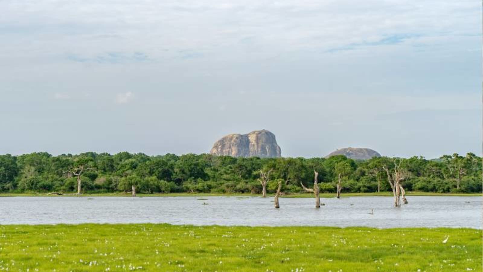 Ruins of Sithulpahuwa monastery