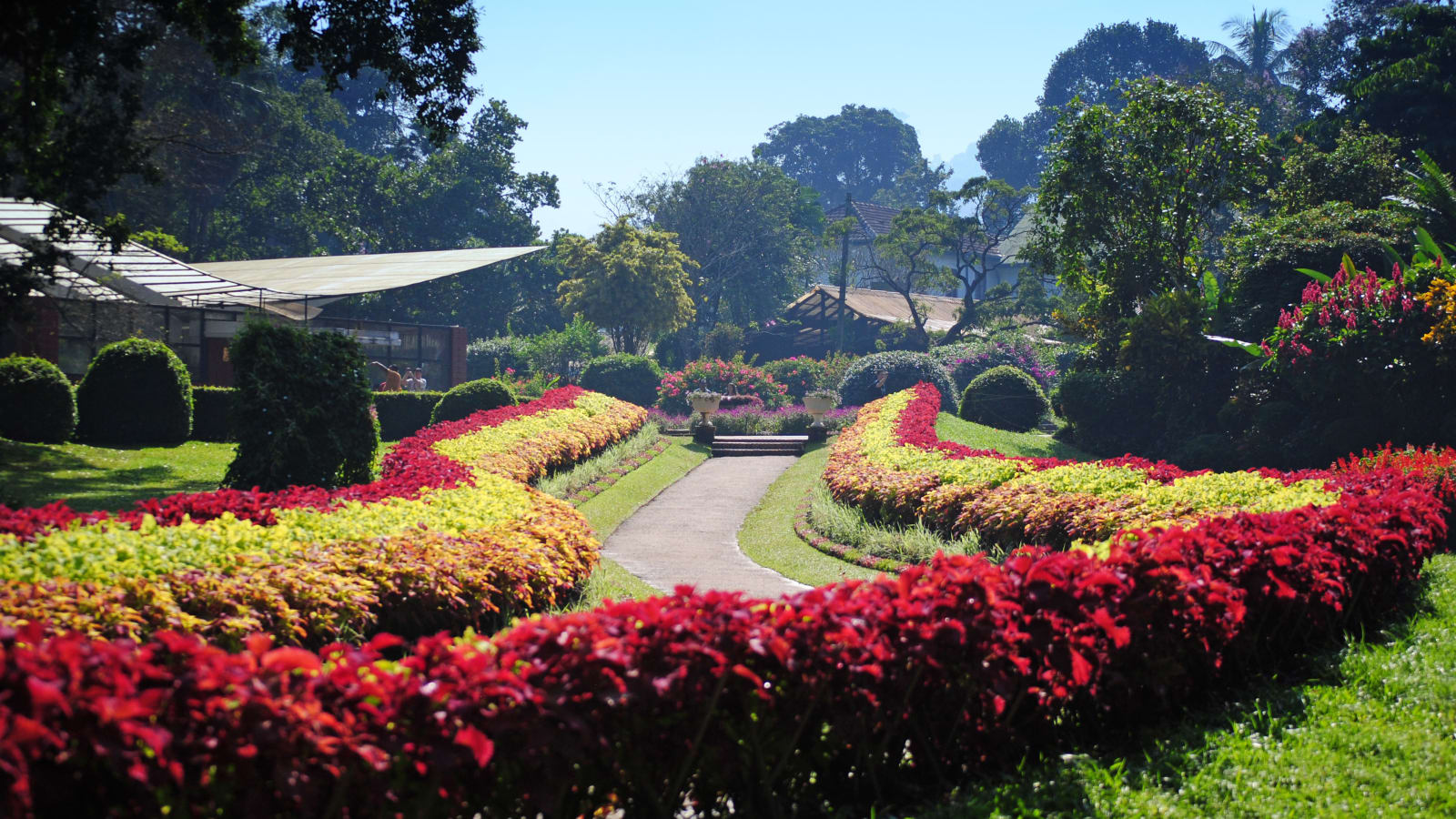 Peradeniya Botanical Garden