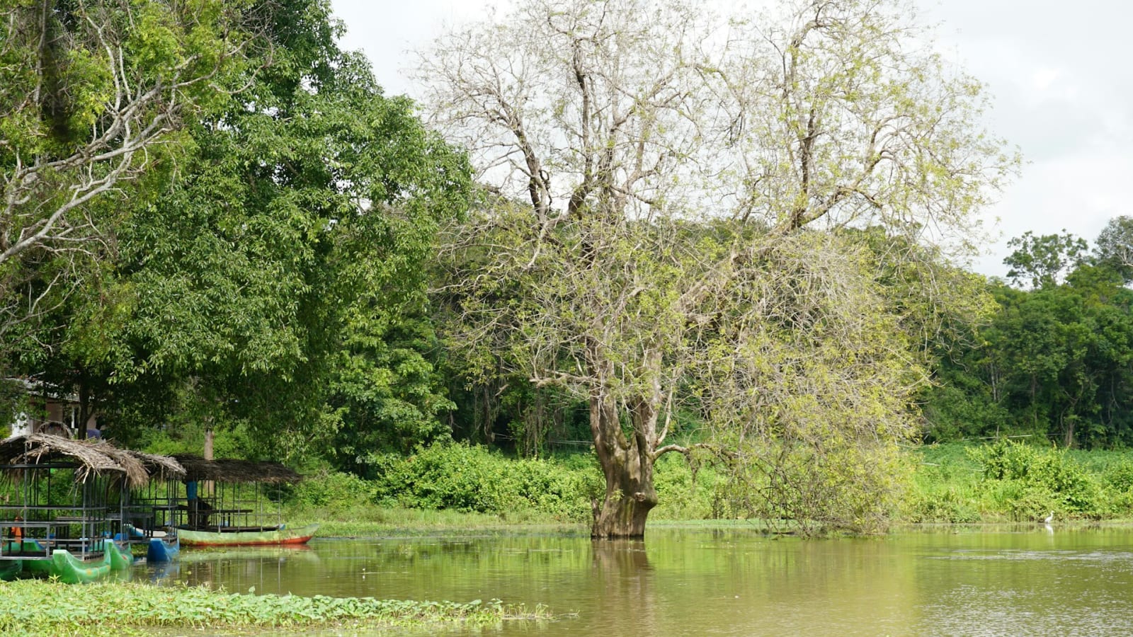 Scenic lake view in Habarana