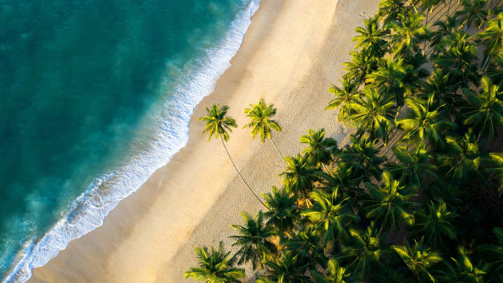 Aerial view of Tangalle coastline