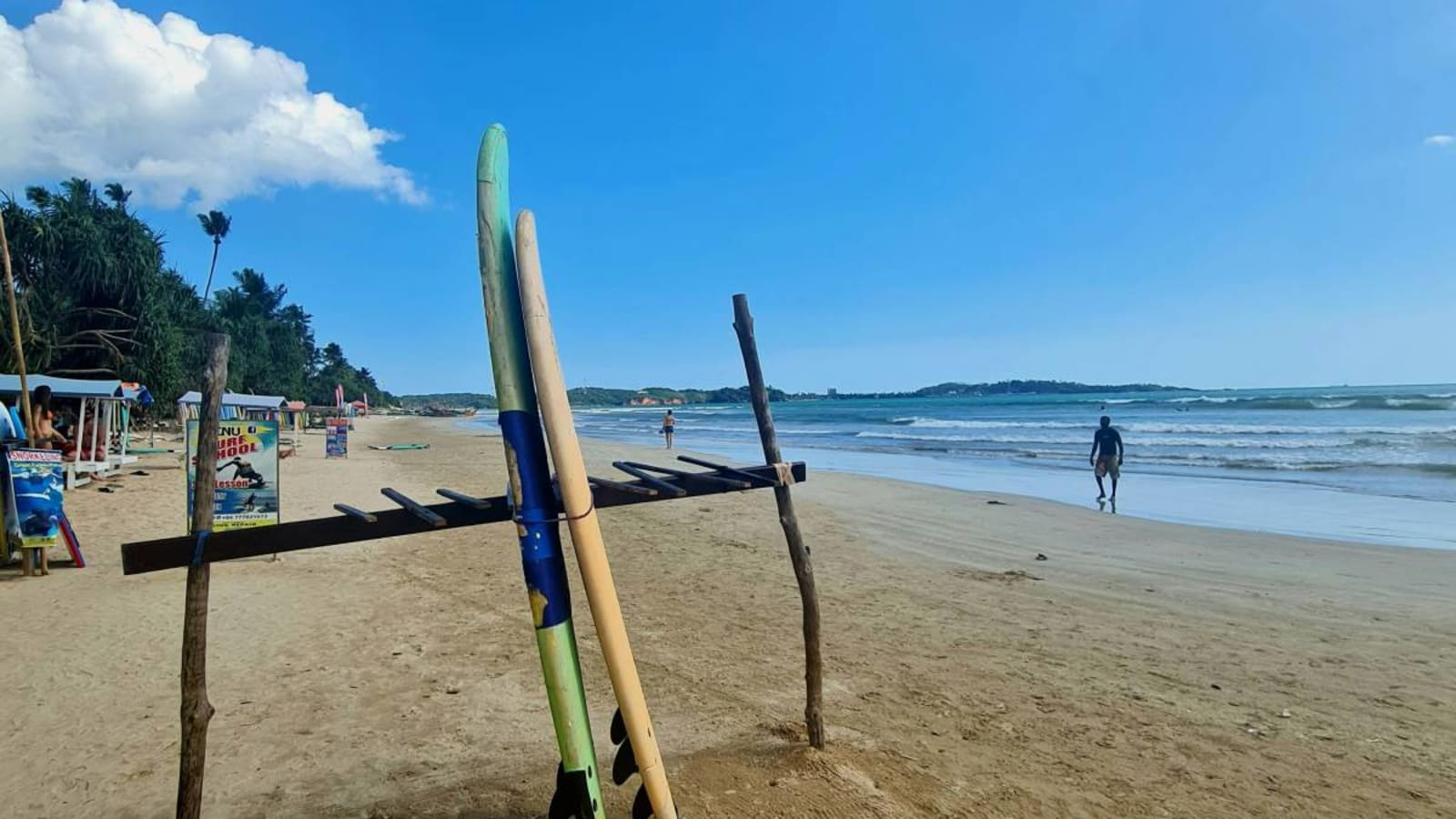 Surf boards standing upright