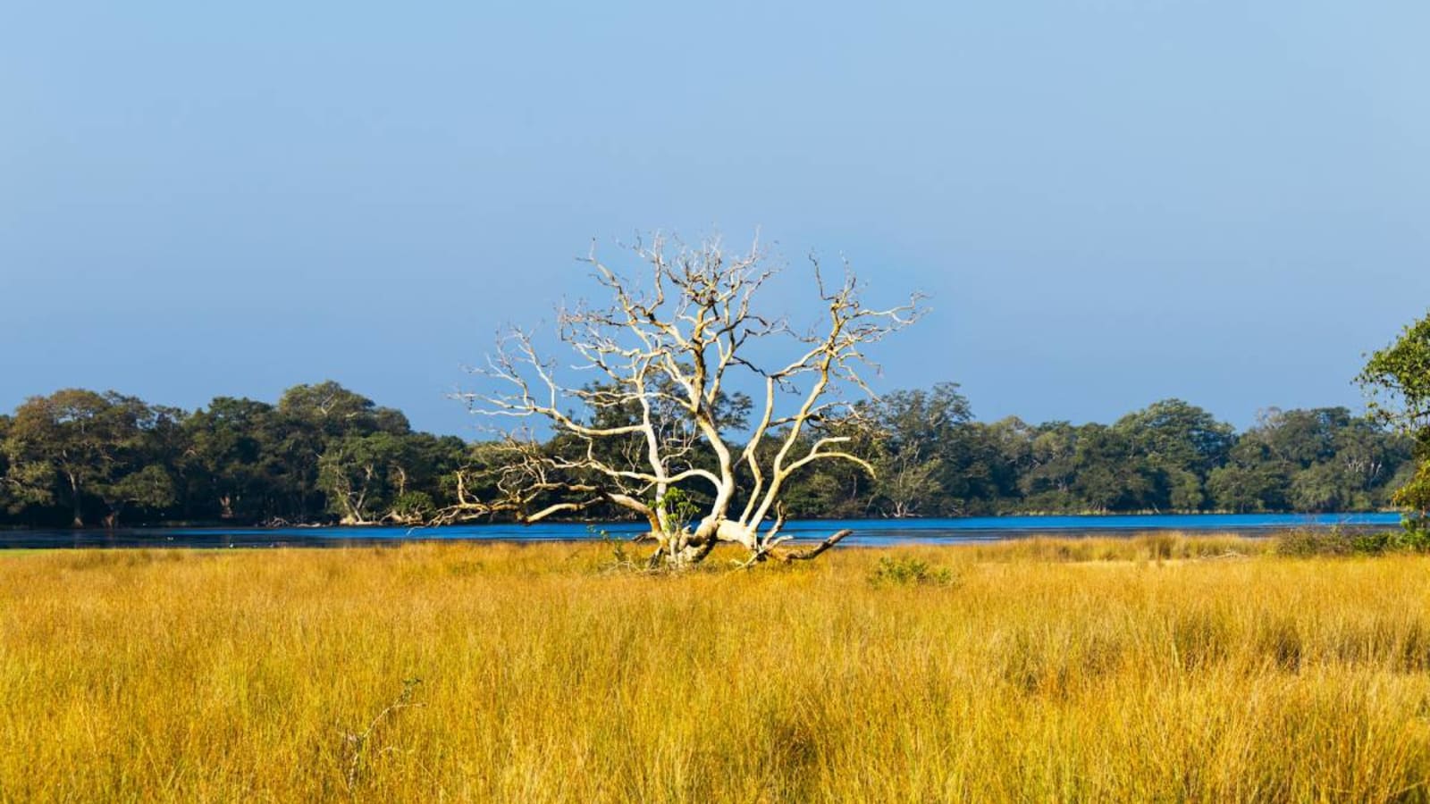 Wipattu National Park