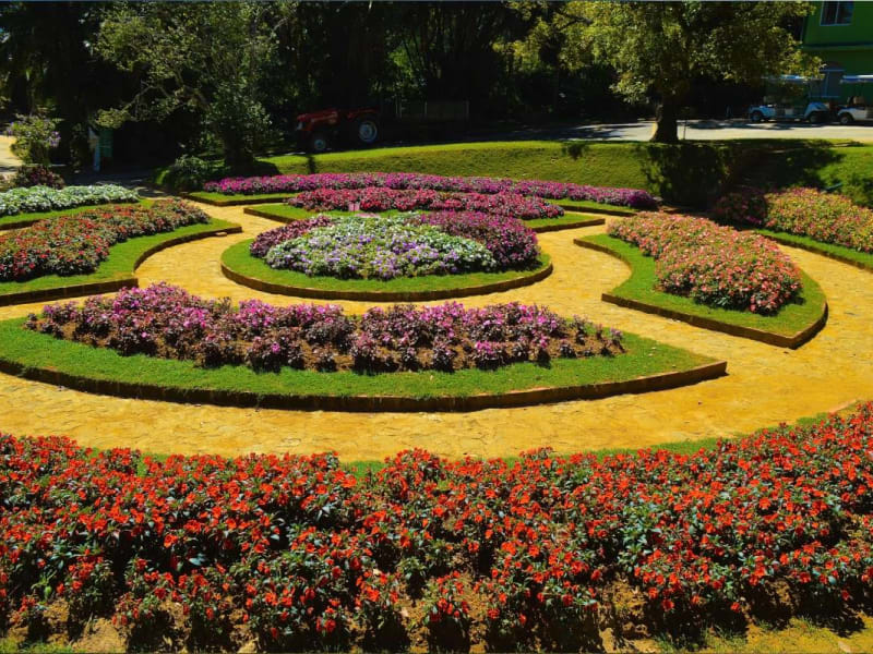 A colourful garden in Nuwara Eliya