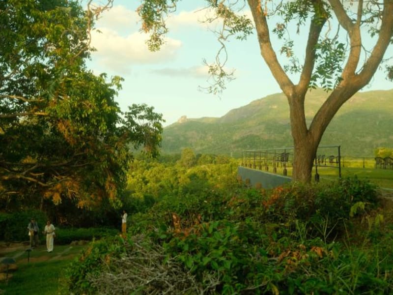 Rural Views in Dambulla
