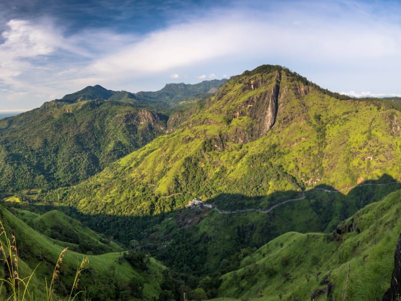 Ella’s green landscape