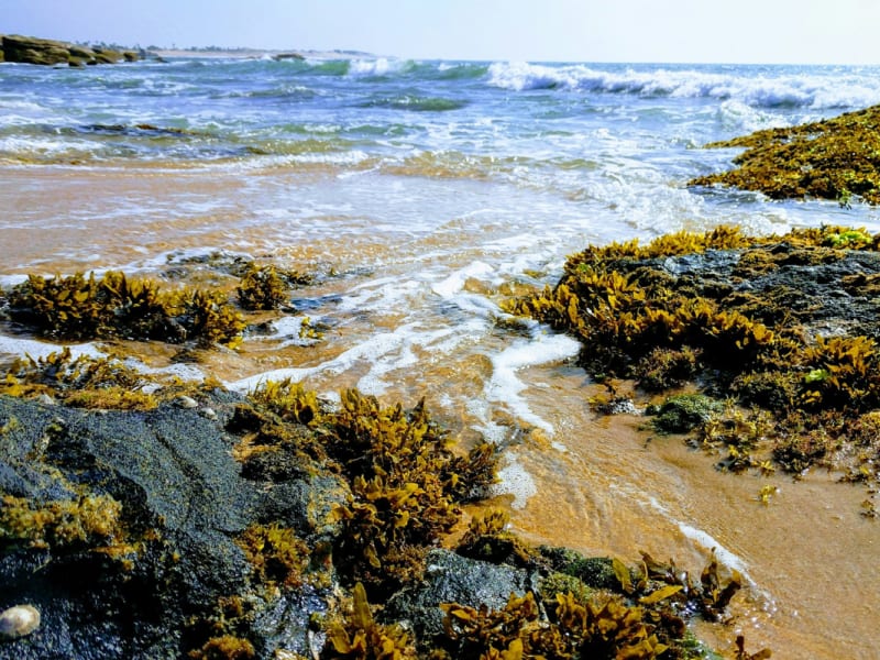 Close up of the beach