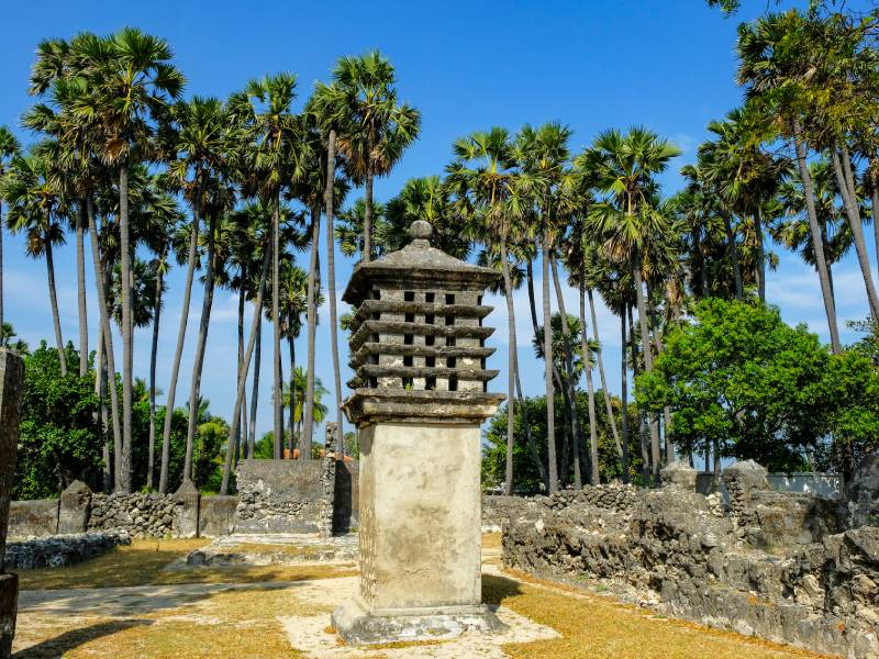 jaffna-delft-island