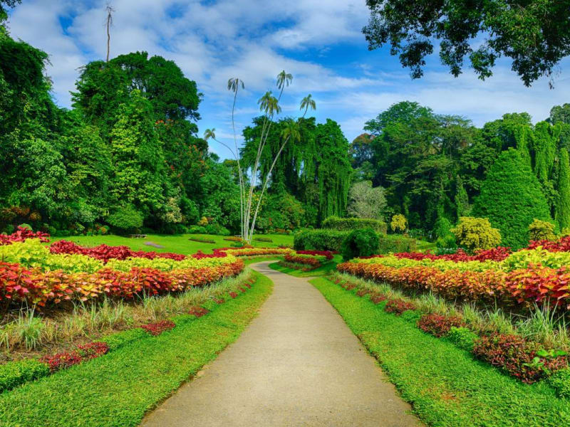 Botanical gardens pathway