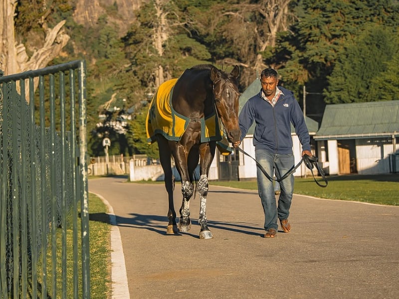 Horse race track