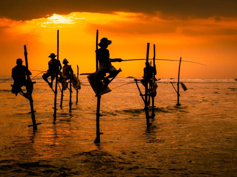 Stilt fishing in the south