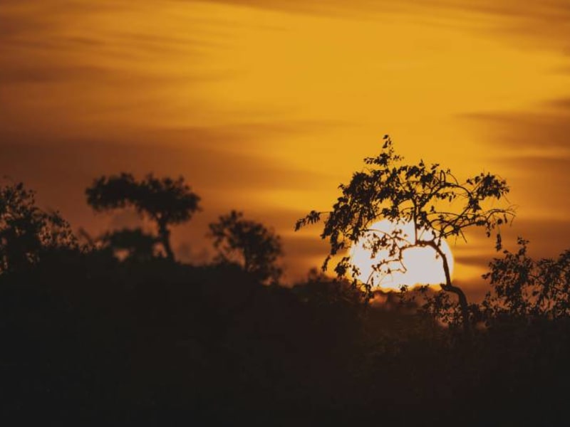 Sunset over Yala's savannah