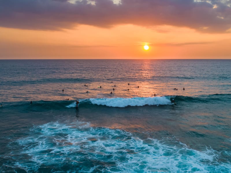 arugam bay
