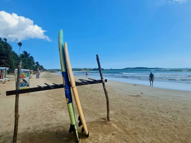 Surf boards standing upright