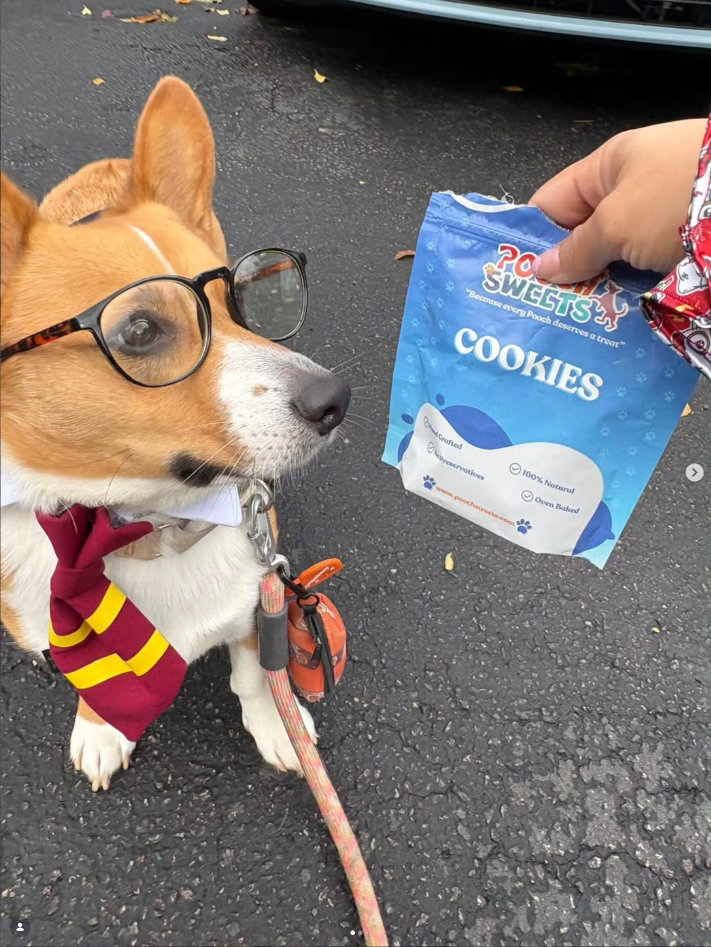 Pooch Sweets customer