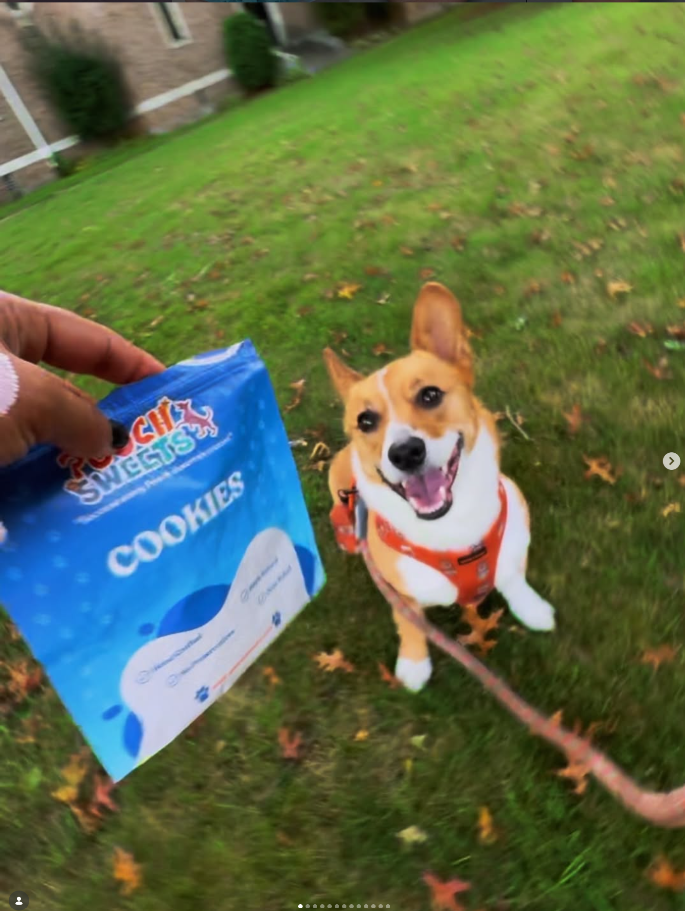 Pooch Sweets customer