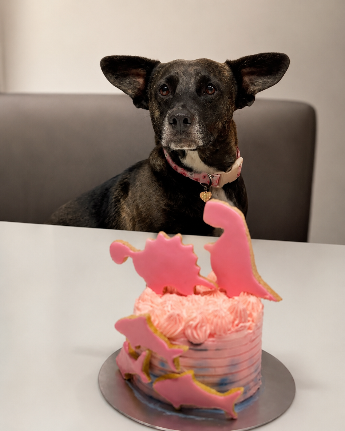 Barkday cake
