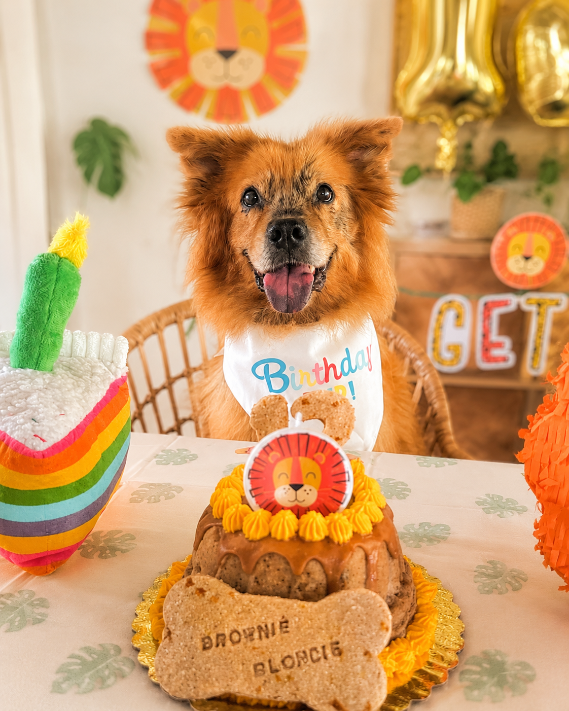 Barkday cake