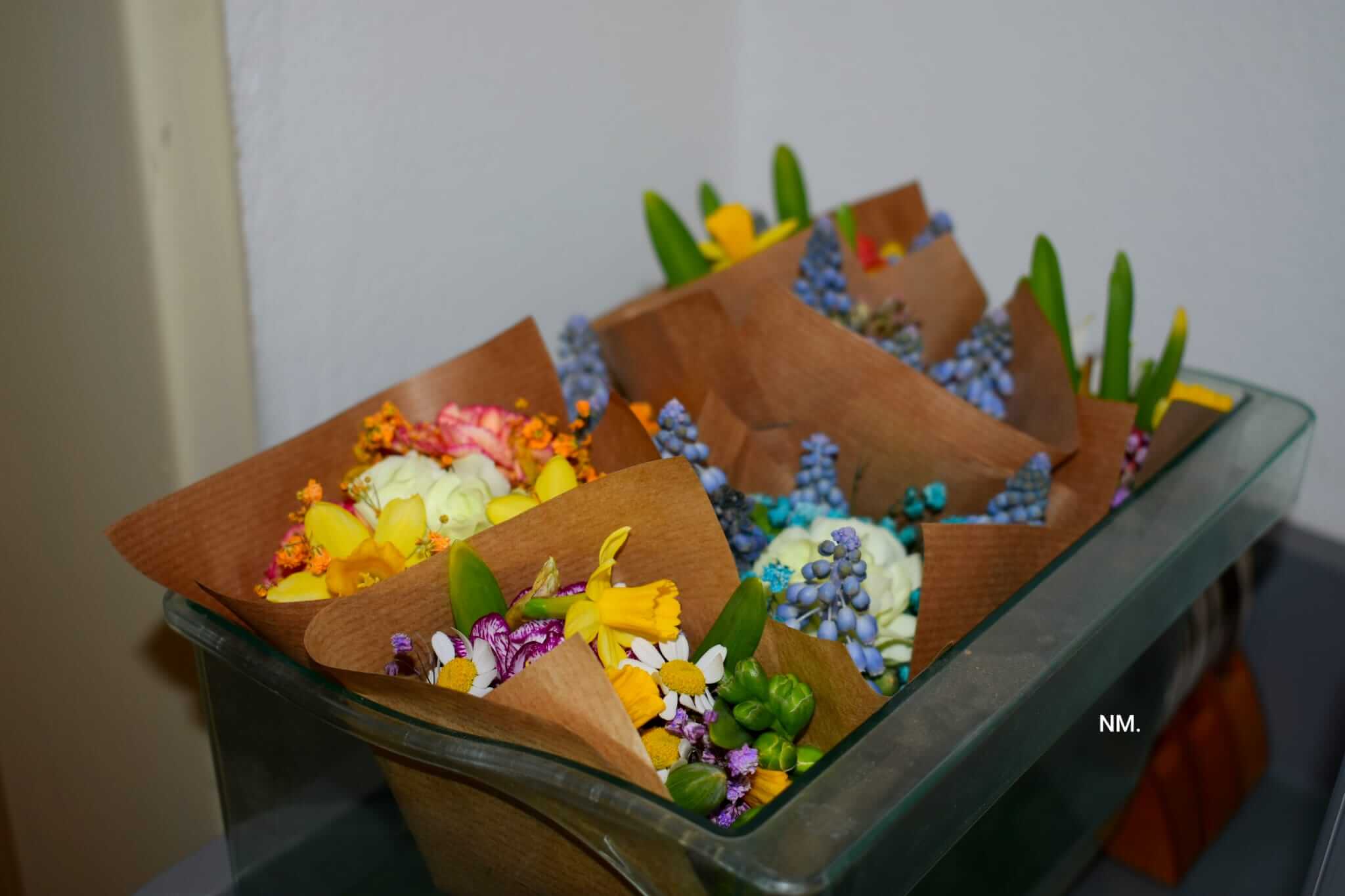 WhatsApp Image 2026-04-12 at 20.15.48 (6)