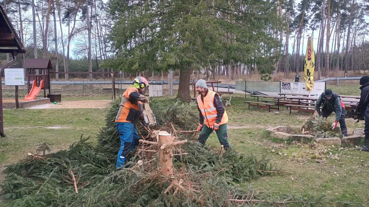 WhatsApp Image 2026-03-30 at 19.41.13