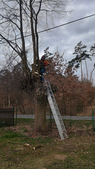 WhatsApp Image 2026-03-30 at 19.41.13 (1)