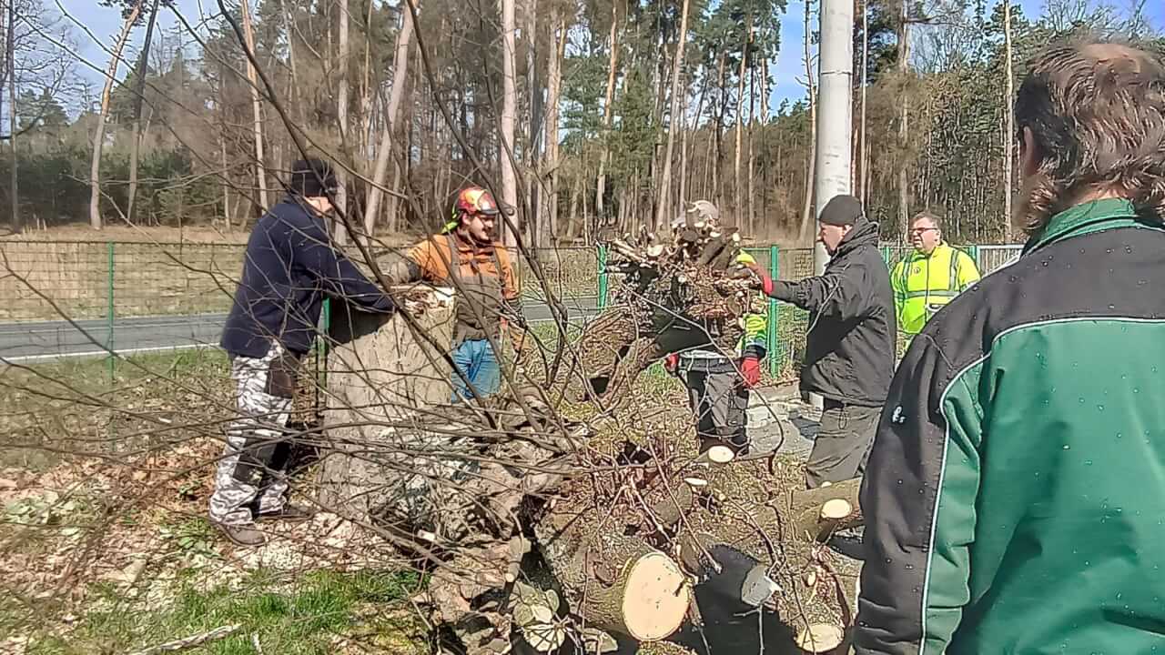 WhatsApp Image 2026-03-30 at 19.41.14