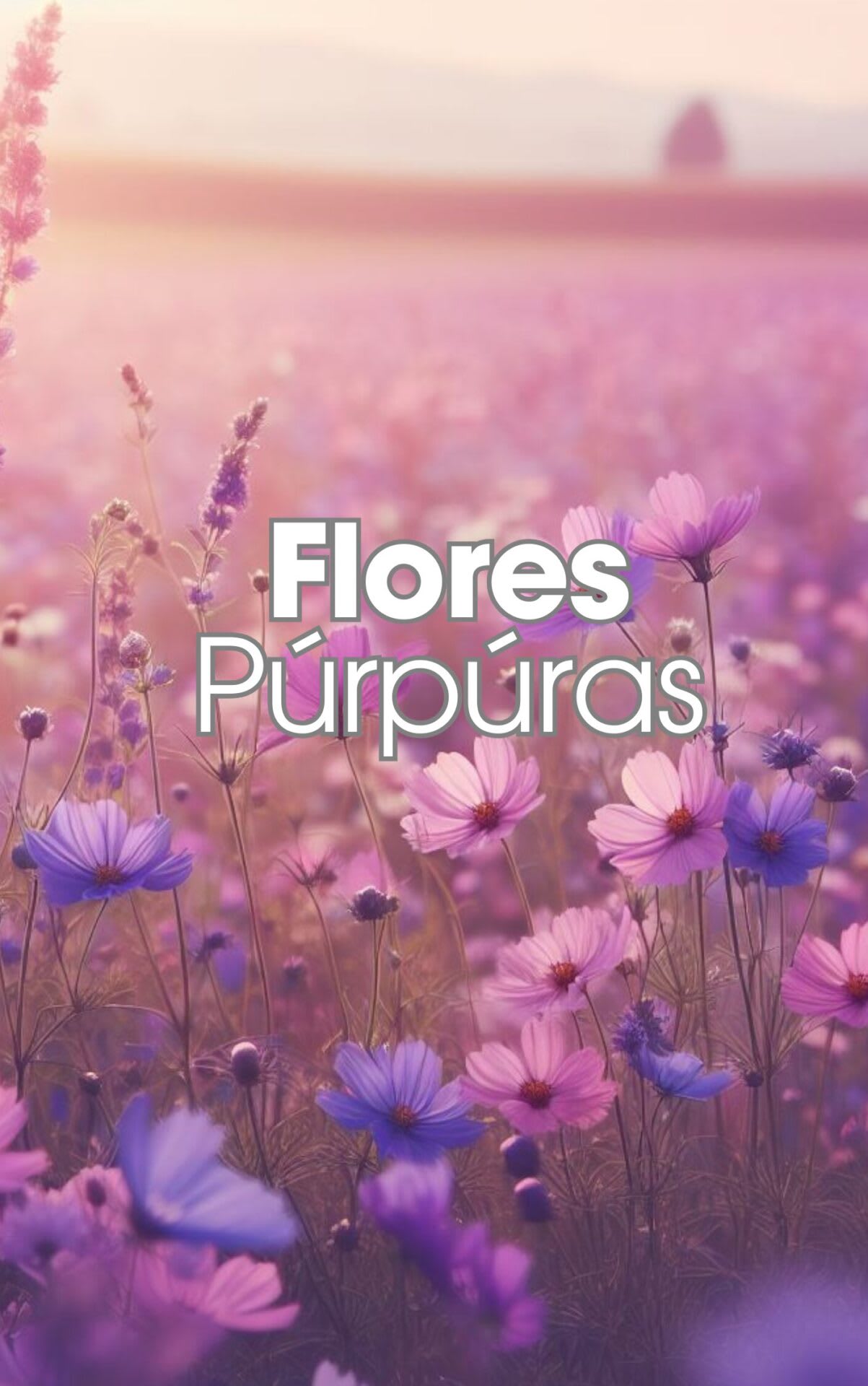Capa de Flores Púrpuras