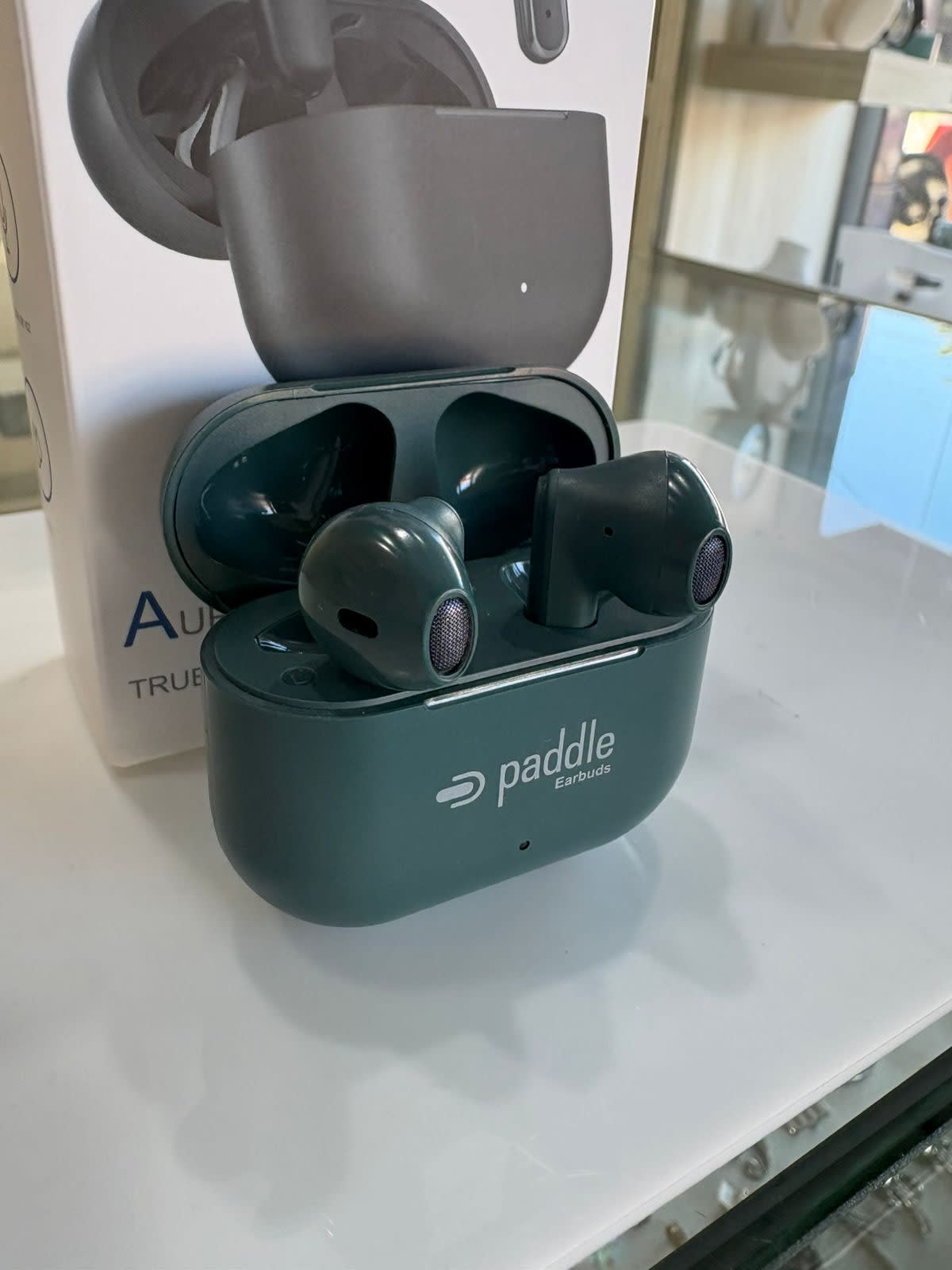Paddle Earbuds