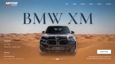 Project showcase interface design