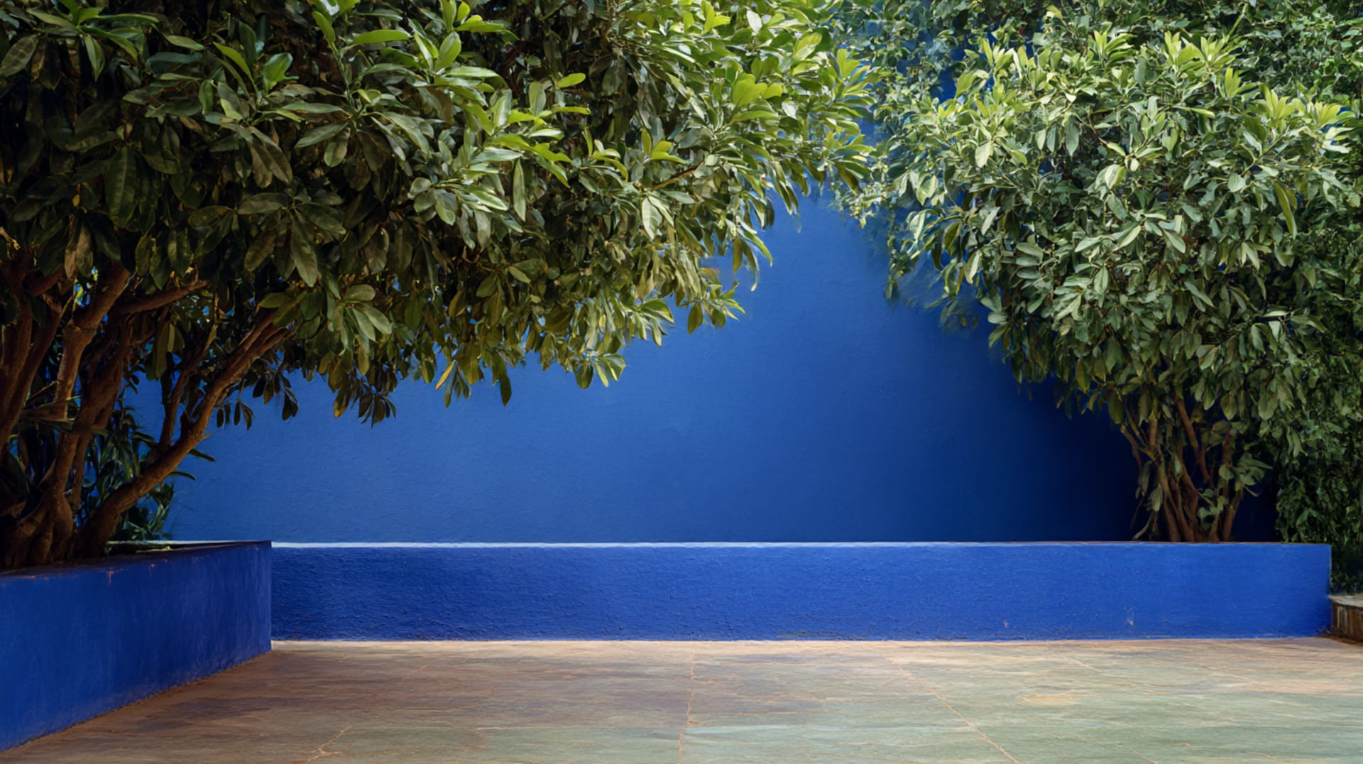 The Man Who Found His Colours