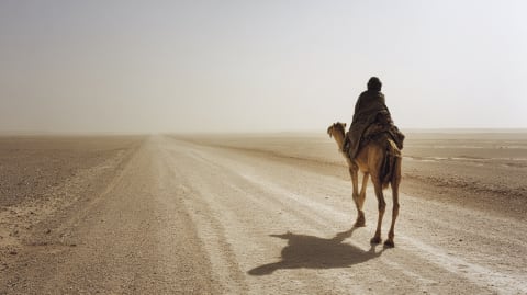 The Caravan Navigators