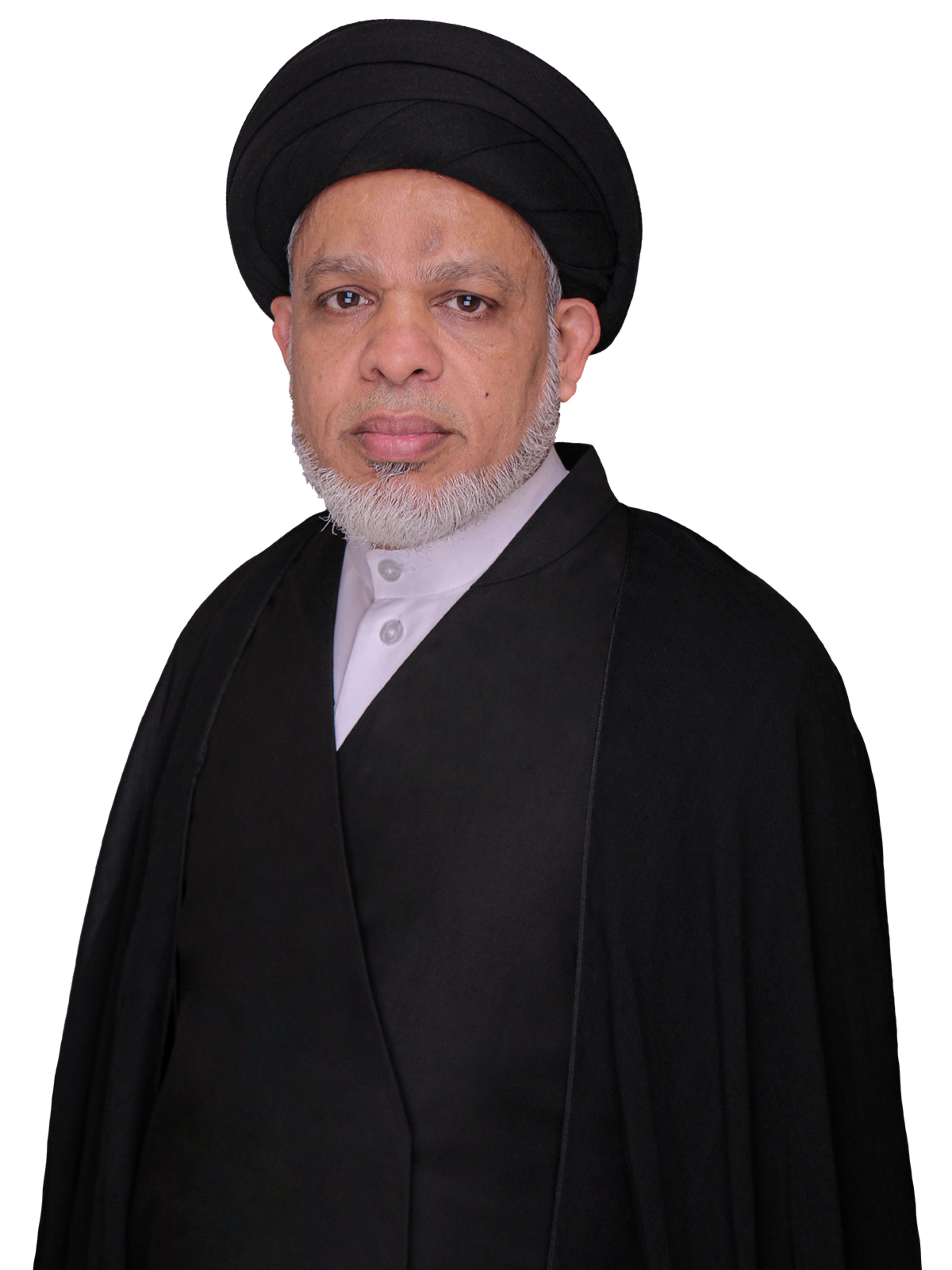 السيد ميثم المحافظة