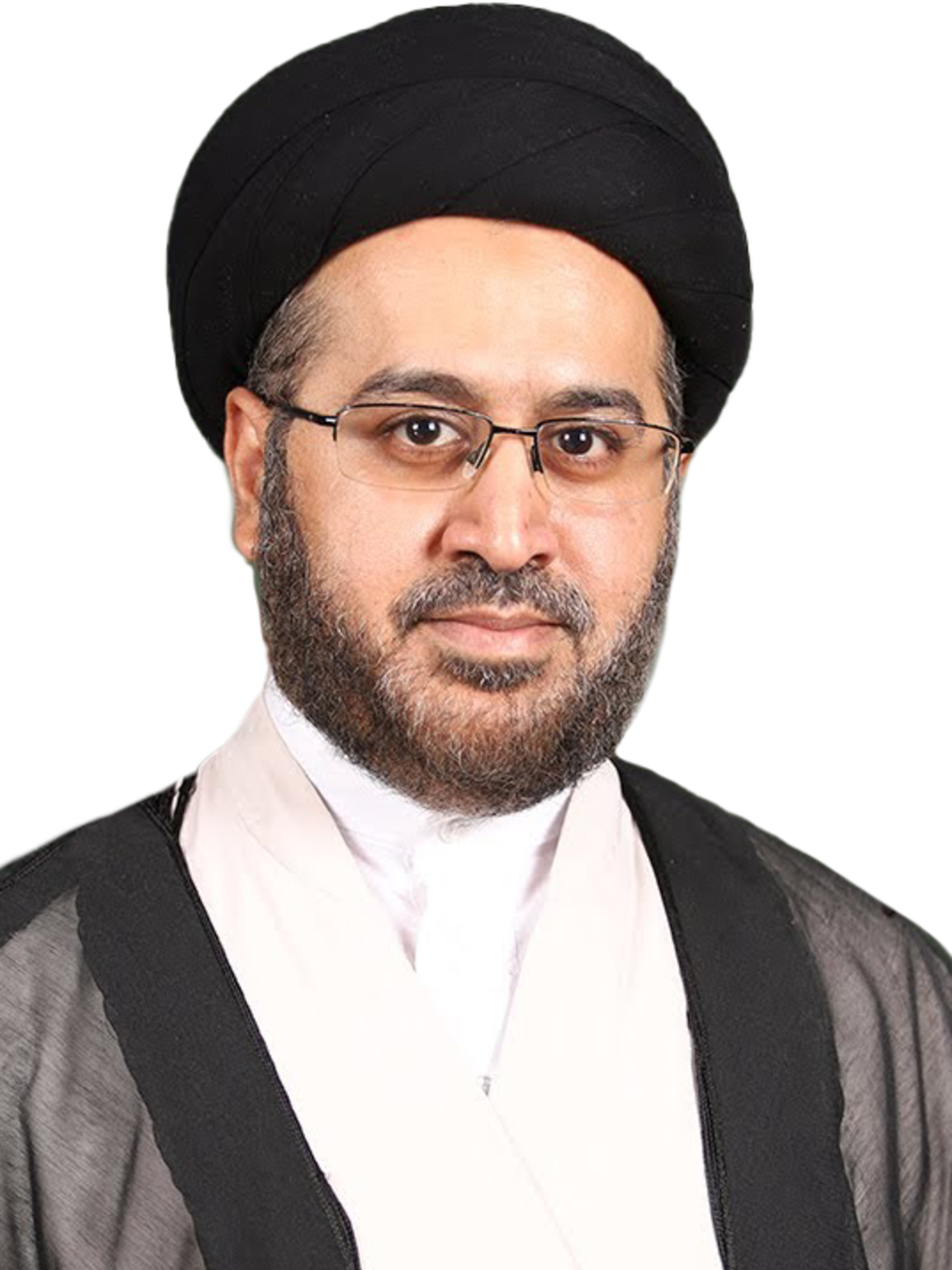 السيد حسن الغريفي
